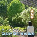 국립종자원삼거리 앞 | 평창 국립한국자생식물원 입장료 할인 주차 6월 꽃구경 후기