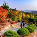 이유를묻지마세요 네이버블로그