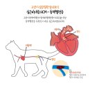 메인동물병원 이미지