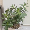 오늘헤어 이미지