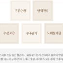 리지에스테틱