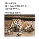 홀리몰리
