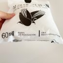 토박이몰