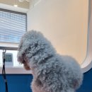 소담교차로 이미지