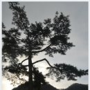 정곡초등학교 이미지