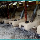 합강민박 이미지