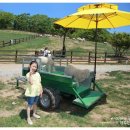 서아목장 이미지