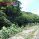 신포가축 이미지