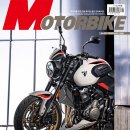 할리월드 333 이미지