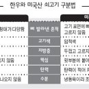 고기에 대해 조금 끄적 거려 봅니다. 이미지