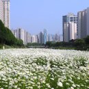 비산힐스테이트_하 이미지