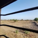 주(JU) | [인도 여행 인도 기차 여행] 조드푸르 정션 - 암리차르 정션 19225 열차 JU JAT Express SL 탑승 후기