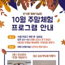 제8대 유엔사무총장 반기문 평화기념관 이미지