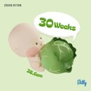 세라농장(1농장) | 임신 25주~30주차 기록 / 드디어 본 입체초음파 🎀🧺🤎🤍 / 분만방법 결정
