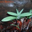 새자리농원 이미지