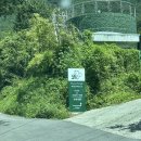 세븐일레븐 울산언양스마트점 | 울산 가볼만한곳 언양 대형카페 베이커리 파인 포레스트