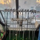 진주티업골프랜드 이미지