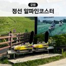 정선 놀거리 하이원리조트 알파인코스터 운탄고도케이블카 할인