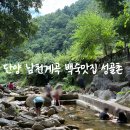 성골촌 | 단양 블루리본 맛집 성골촌 오리백숙 계곡 후기