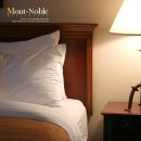 A+펜션모텔 이미지