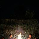 아노록사계 이미지