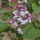 무등요양병원 이미지