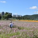 김우영 농장 이미지