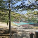 함허동천 야영장 이미지