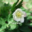 송곤목장 이미지