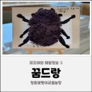 지금 장수농장 | 창원곤충체험 [꿈드랑 창원꽃벵이곤충농장] 창원어린이체험 곤충체험