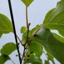 한실농장 이미지