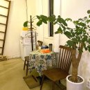 댕댕이이발관 이미지