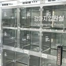 24시 황금동물의료센터 이미지