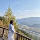 함평군사회복지협의회 | 한국사회복지협의회 우수 멘토 힐링캠프 참여 후기