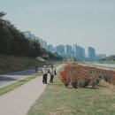 독산동 자전거종합서비스센터 내손안에서울