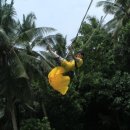 신행농장 이미지