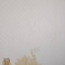 약동안양 이미지