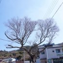 선창마을 이미지