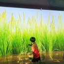 발산정미소 | [내발내간] 수원 아이와 가볼만한곳 추천 - 국립농업박물관 어린이박물관 체험 및 인근 맛집 베스트 3