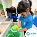 Nexus Early Years had a blast learning about outer space. 이미지