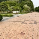 강촌 근린공원 이미지