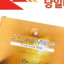 알파월드 이미지