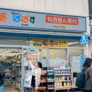 일본 드럭스토어 화장품 브랜드 추천 후회 없는 쇼핑 리스트 총정리