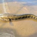 호수환경(주) 이미지