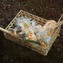 제주첫날 민박 이미지