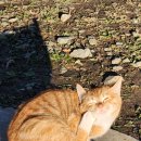 스테이 | 서산 부석사 템플스테이 후기｜주차·대중교통·준비물 완벽 정리