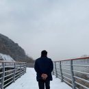 우두실버홈 | [신경호생각] 줄기를 활짝 펴고
