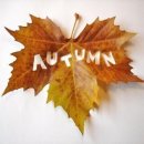 Chiara CivelloI-mulini dei../ My Love /Autumn Leaves(첼로)/ Bucks Fizz 이미지