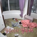 바다가보이는민박