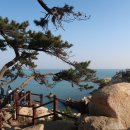 대왕암솔바람길 이미지